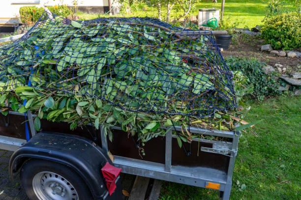 Best Carpet Removal and Disposal  in Forest Hills, MI